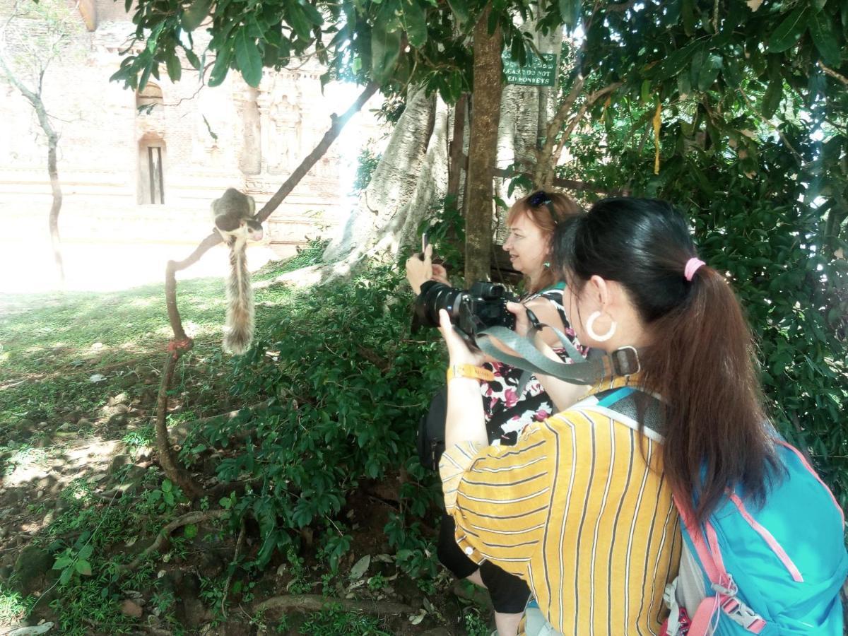 Priyanna Guest, Forest View 波隆纳鲁沃 外观 照片